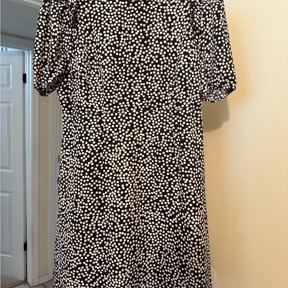 Lark & Ro Black and White Puff Sleeve Sheath Dress
